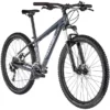 Cannondale Trail 6 Grau