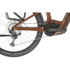 FOCUS Thron² 6.8 EQP 750Wh Braun 10 FOCUS Thron² 6.8 EQP 750Wh Braun -Fahrradladen focus thron 68 eqp 750wh gold brown 4