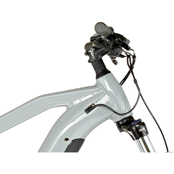 HAIBIKE HardNine 6 Grau 4 HAIBIKE HardNine 6 Grau – Bild 4