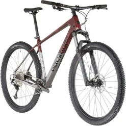 Polygon Syncline C3 Braun