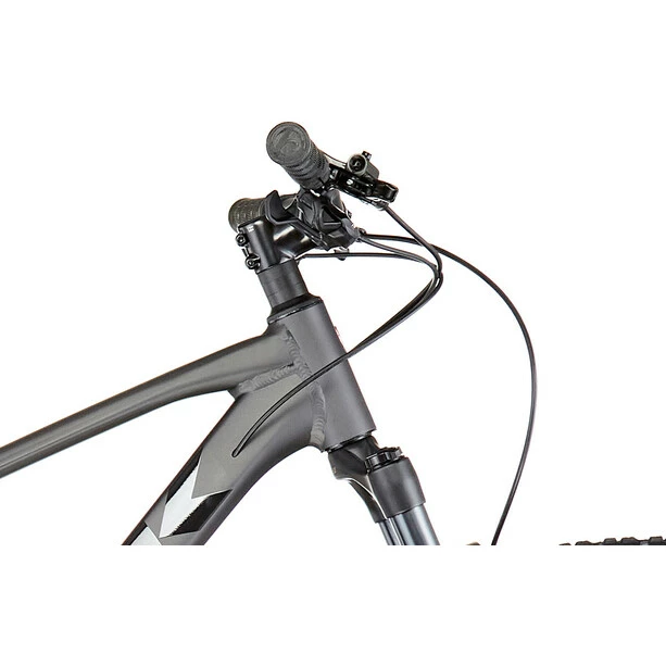 Trek Marlin 8 Gen 3 Grau 4 Trek Marlin 8 Gen 3 Grau – Bild 4